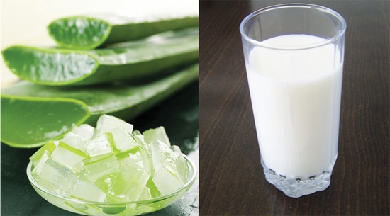 mặt nạ nha đam với sữa tươi